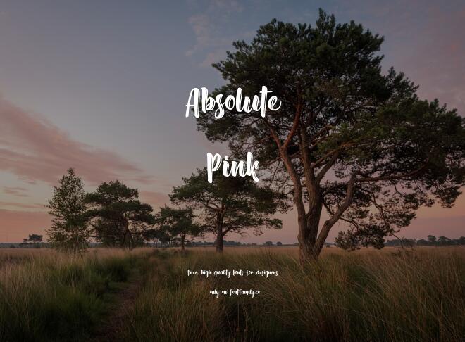 Absolute Pink Font