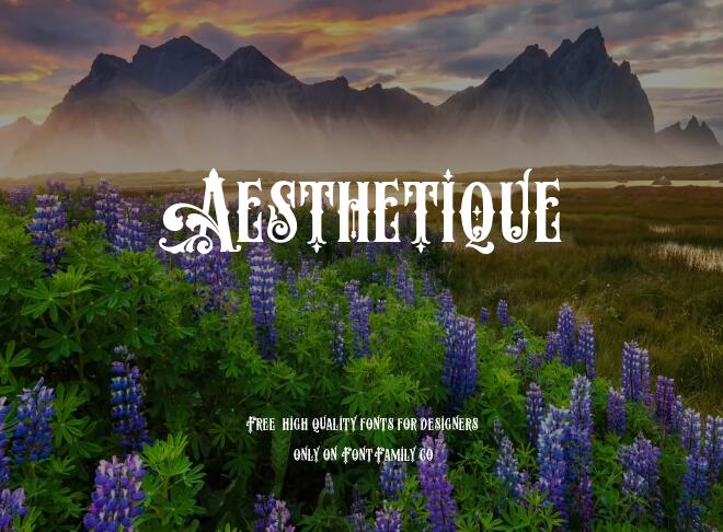 Aesthetique Font