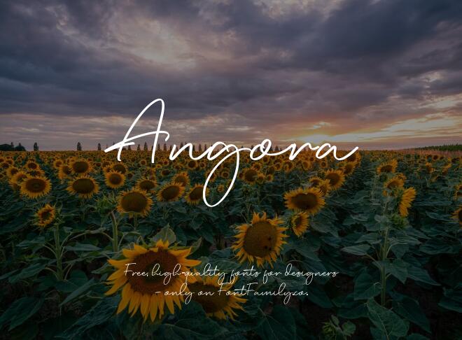 Angora Font