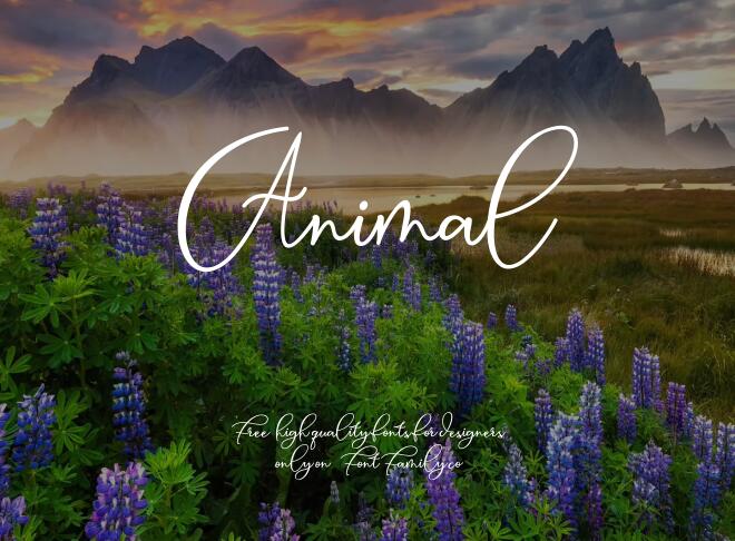 Animal Font