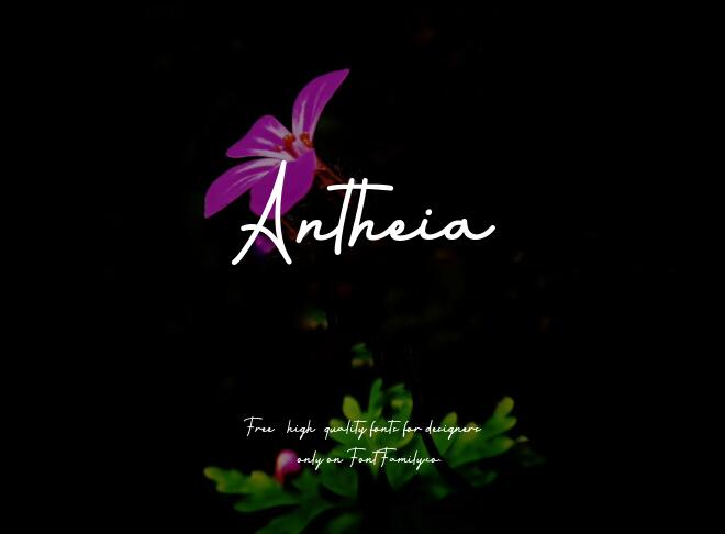 Antheia Font