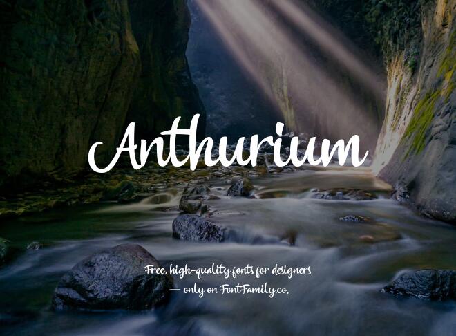 Anthurium Font