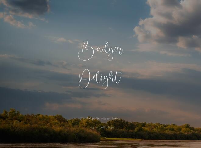 Badger Delight Font