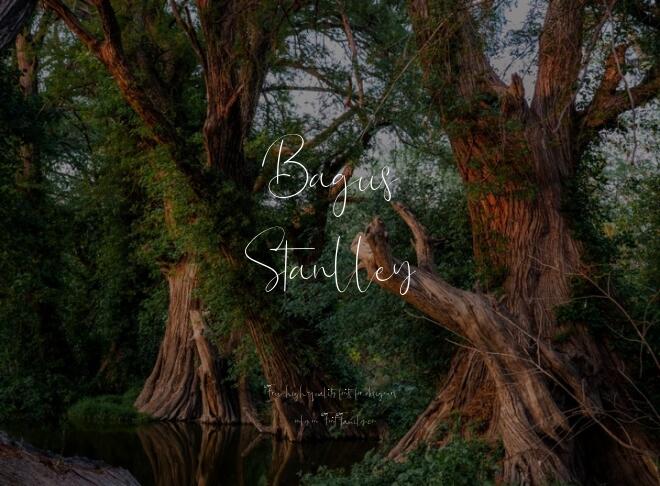 Bagus Stanlley Font