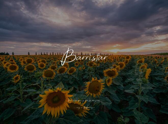 Barristar Font