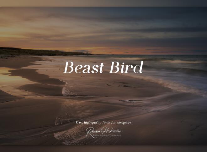 Beast Bird Font
