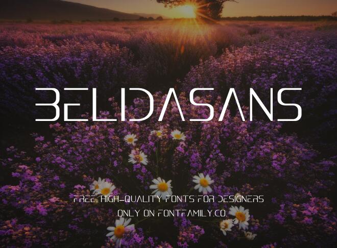 Belidasans Font