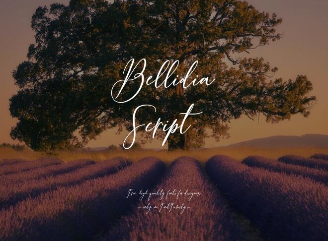 Bellidia Script Font