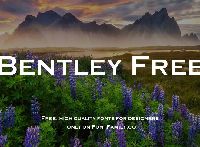 Bentley Free Font