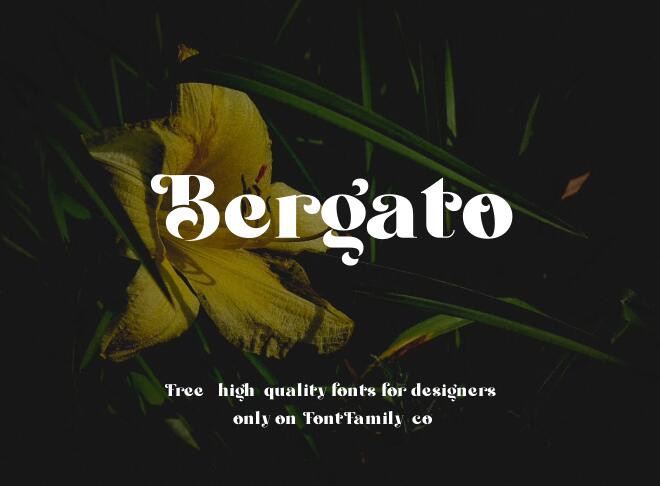 Bergato Font