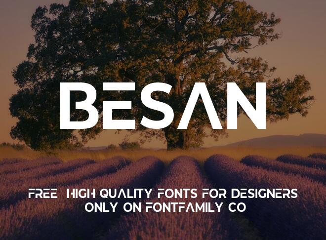 Besan Font