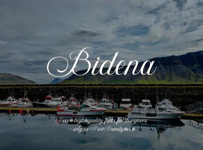 Bidena Font