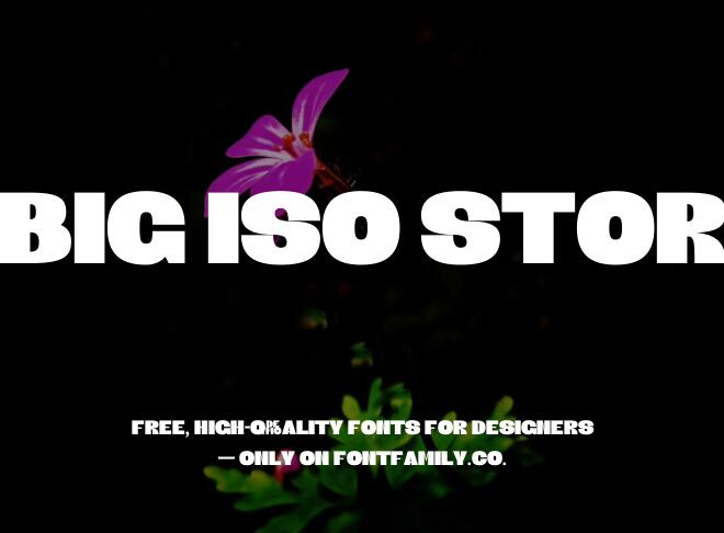 Big Iso Stor Font