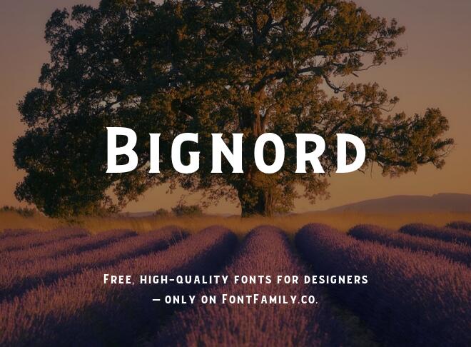 Bignord Font