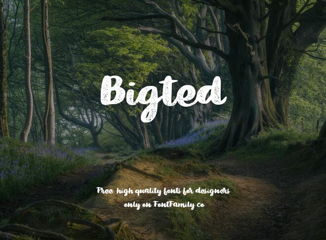 Bigted Font