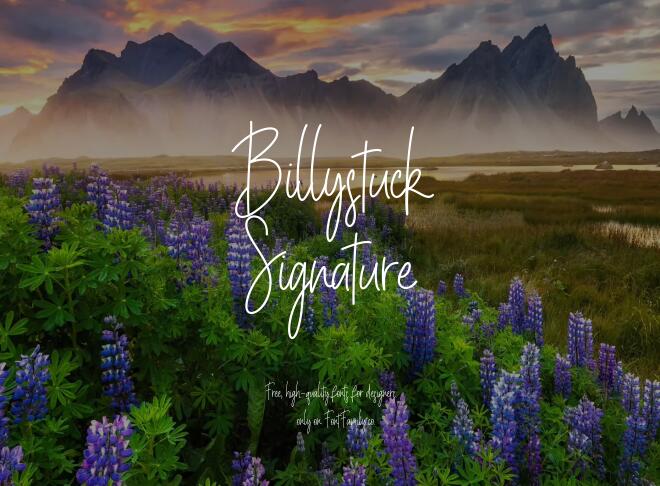 Billystuck Signature Font