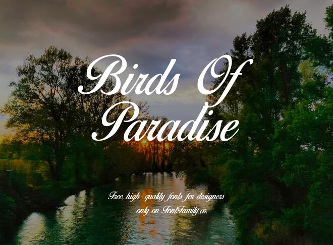 Birds Of Paradise Font