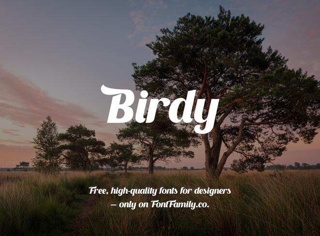 Birdy Font