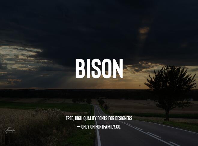 Bison Font