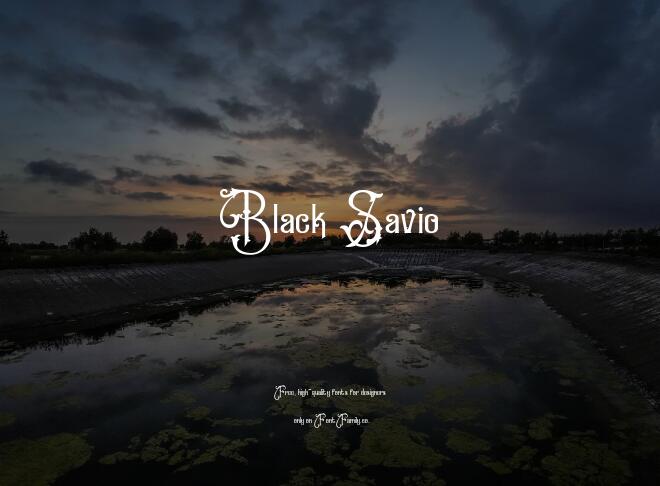 Black Savio Font