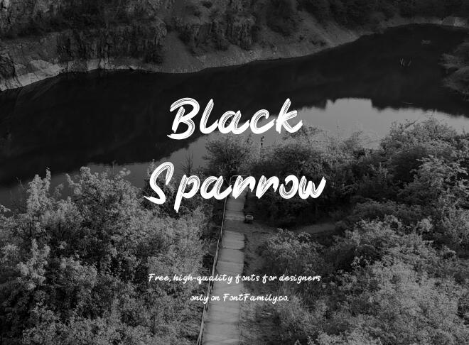 Black Sparrow Font
