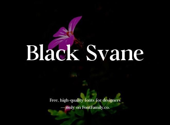 Black Svane Font
