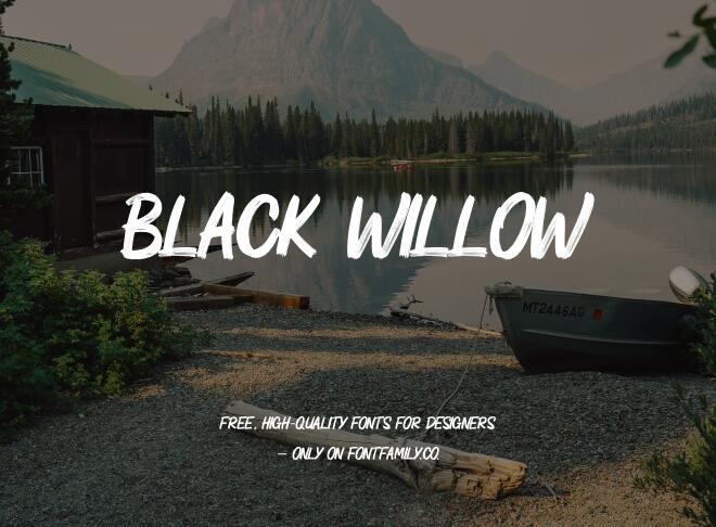 Black Willow Font