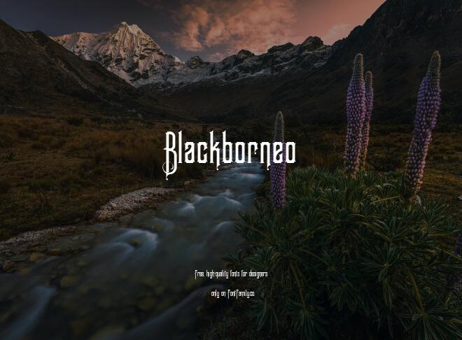 Blackborneo Font