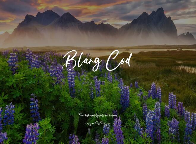 Blang Cod Font