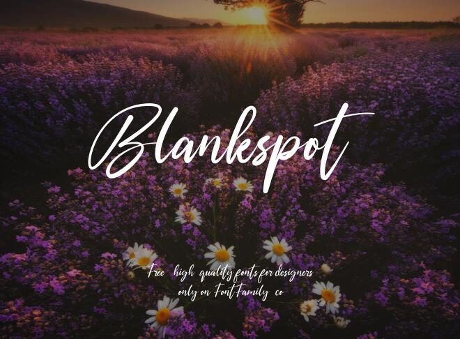 Blankspot Font