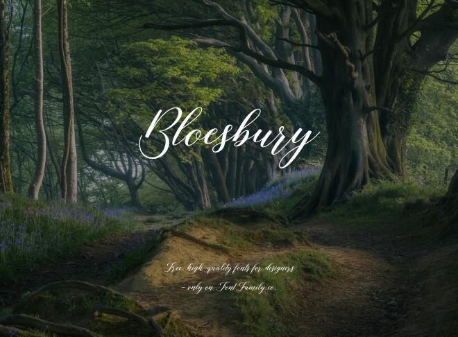 Bloesbury Font