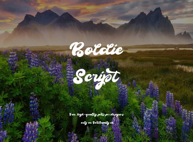 Boldie Script Font