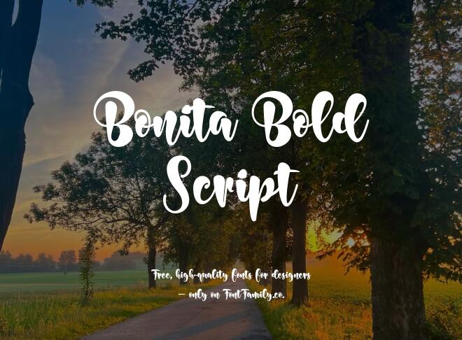 Bonita Bold Script Font