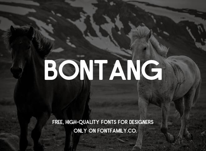 Bontang Font