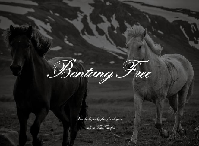 Bontang Free Font
