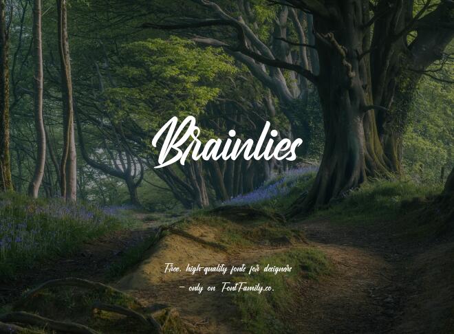 Brainlies Font