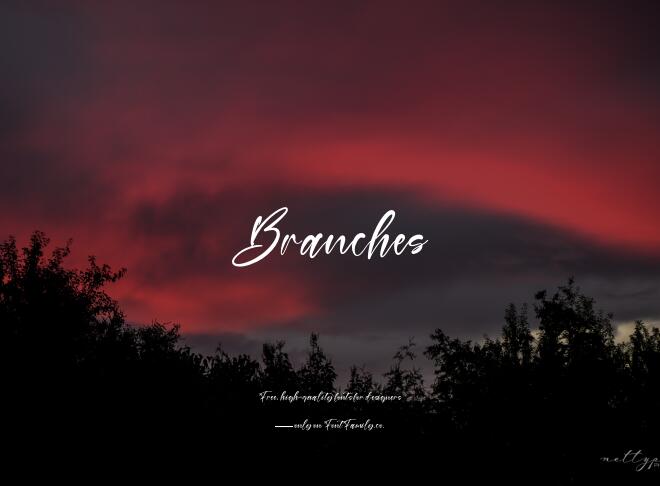 Branches Font