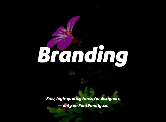 Branding Font