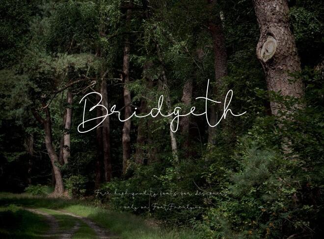 Bridgeth Font