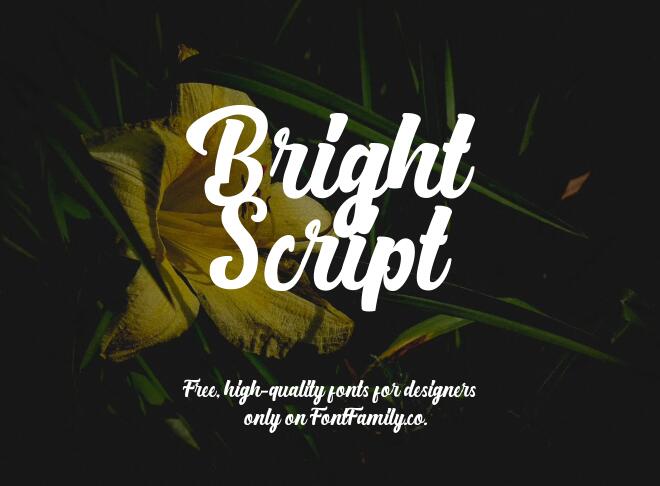 Bright Script Font