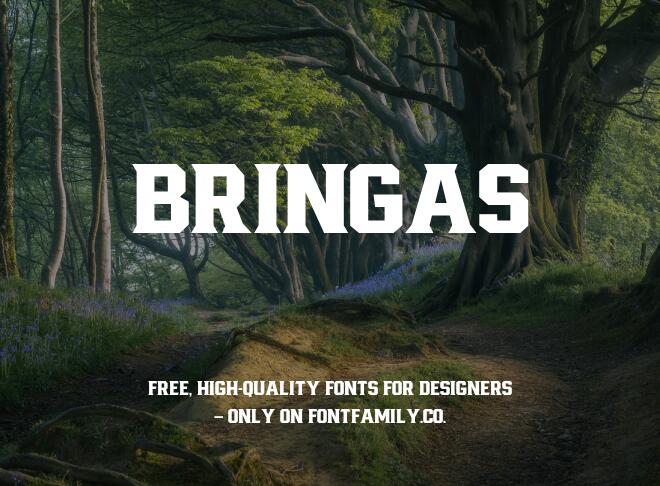 Bringas Font