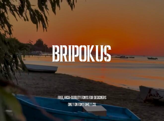 Bripokus Font