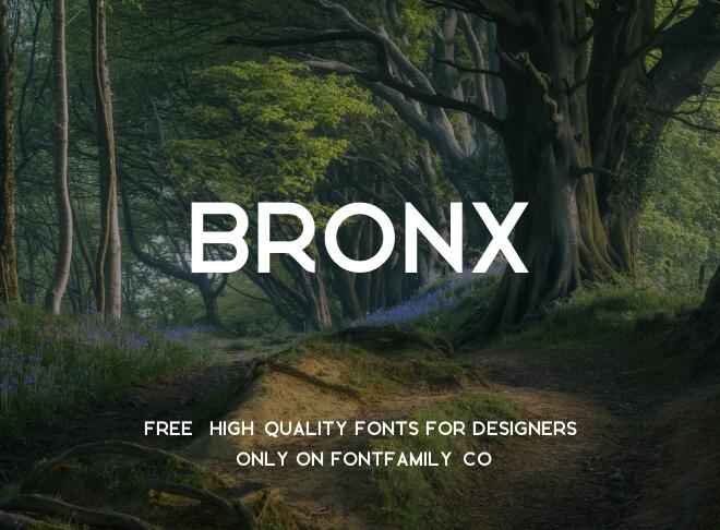 Bronx Font