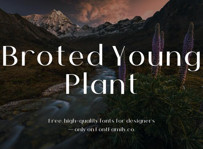 Broted Young Plant Font