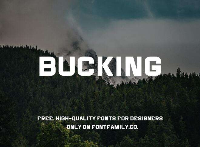 Bucking Font