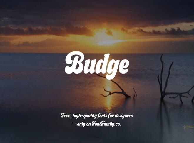 Budge Font