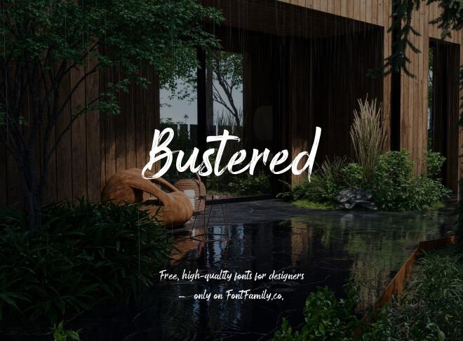 Bustered Font