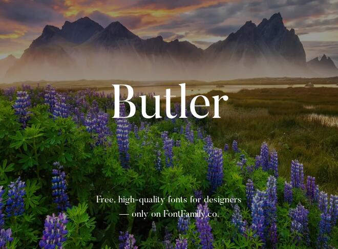 Butler Font