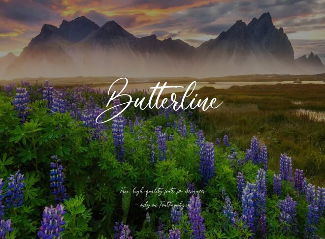 Butterline Font