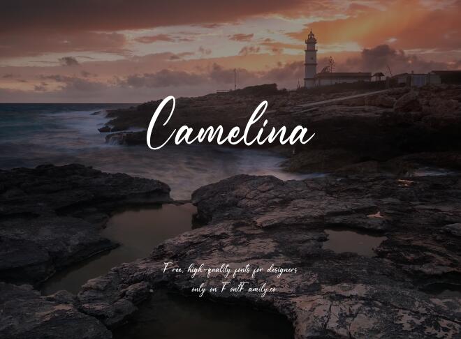 Camelina Font